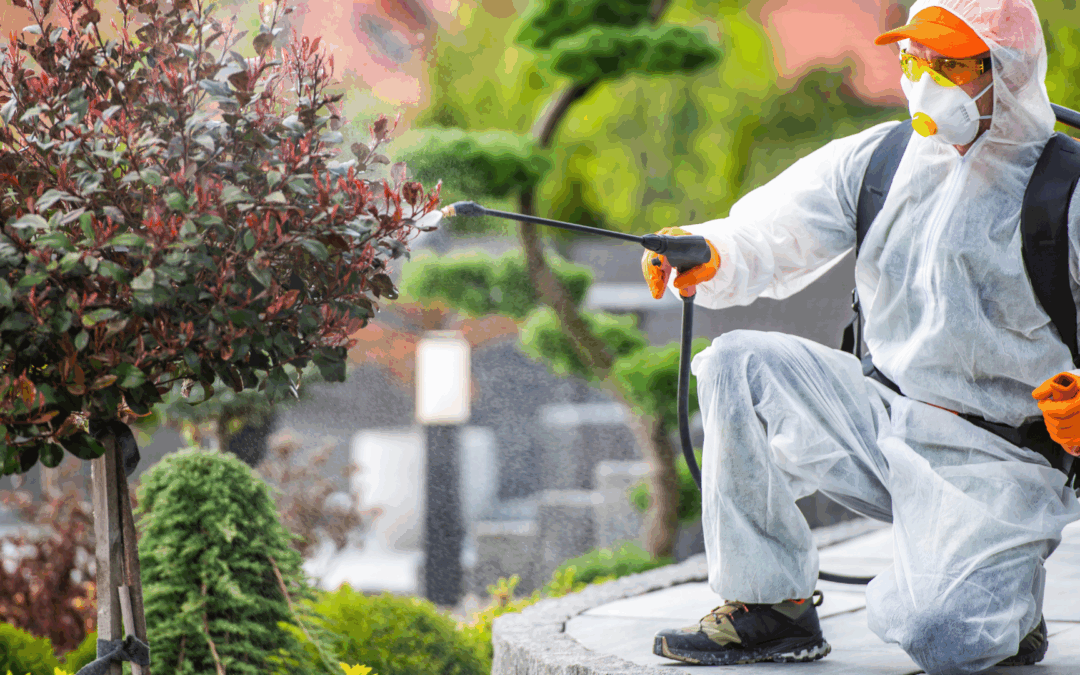 Pest Control in NJ