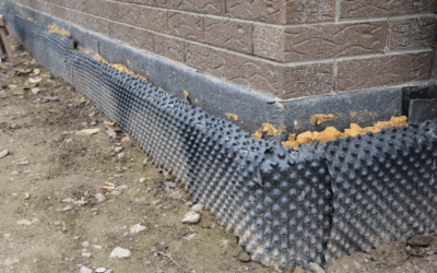 Rodent-Proofing Your NJ Home for Fall