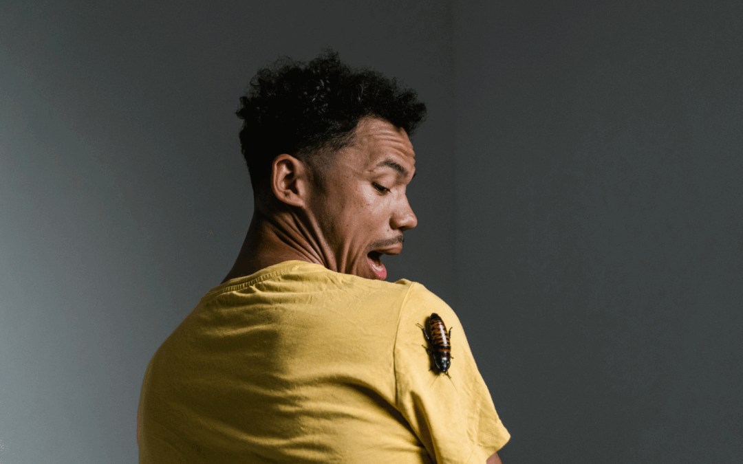 Cockroach Exterminator in Central NJ