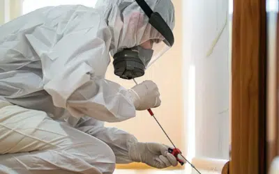 How Pest Control Impacts Health and Safety Compliance for Businesses